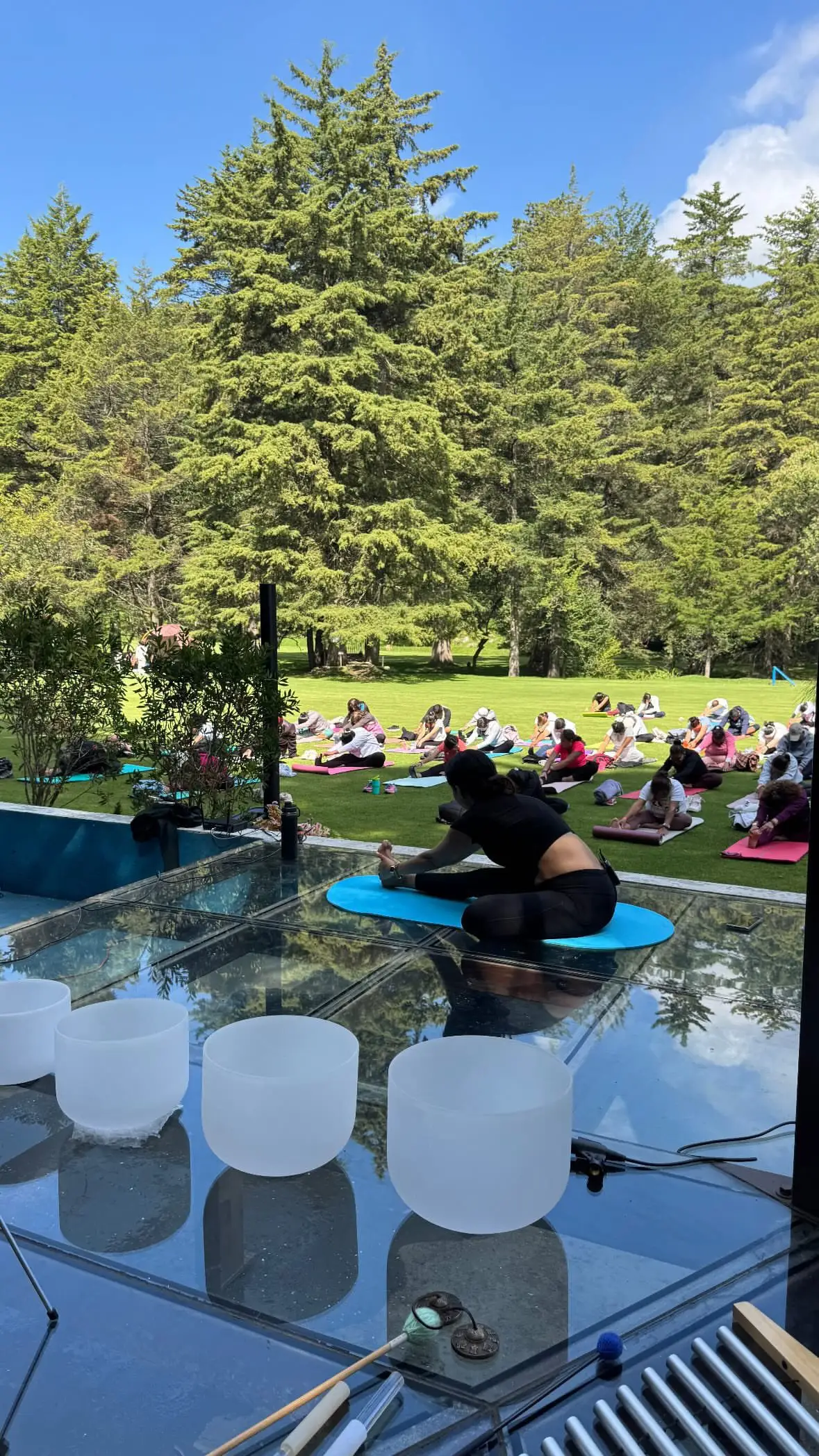 Grupo empresarial en actividad de teambuilding al aire libre