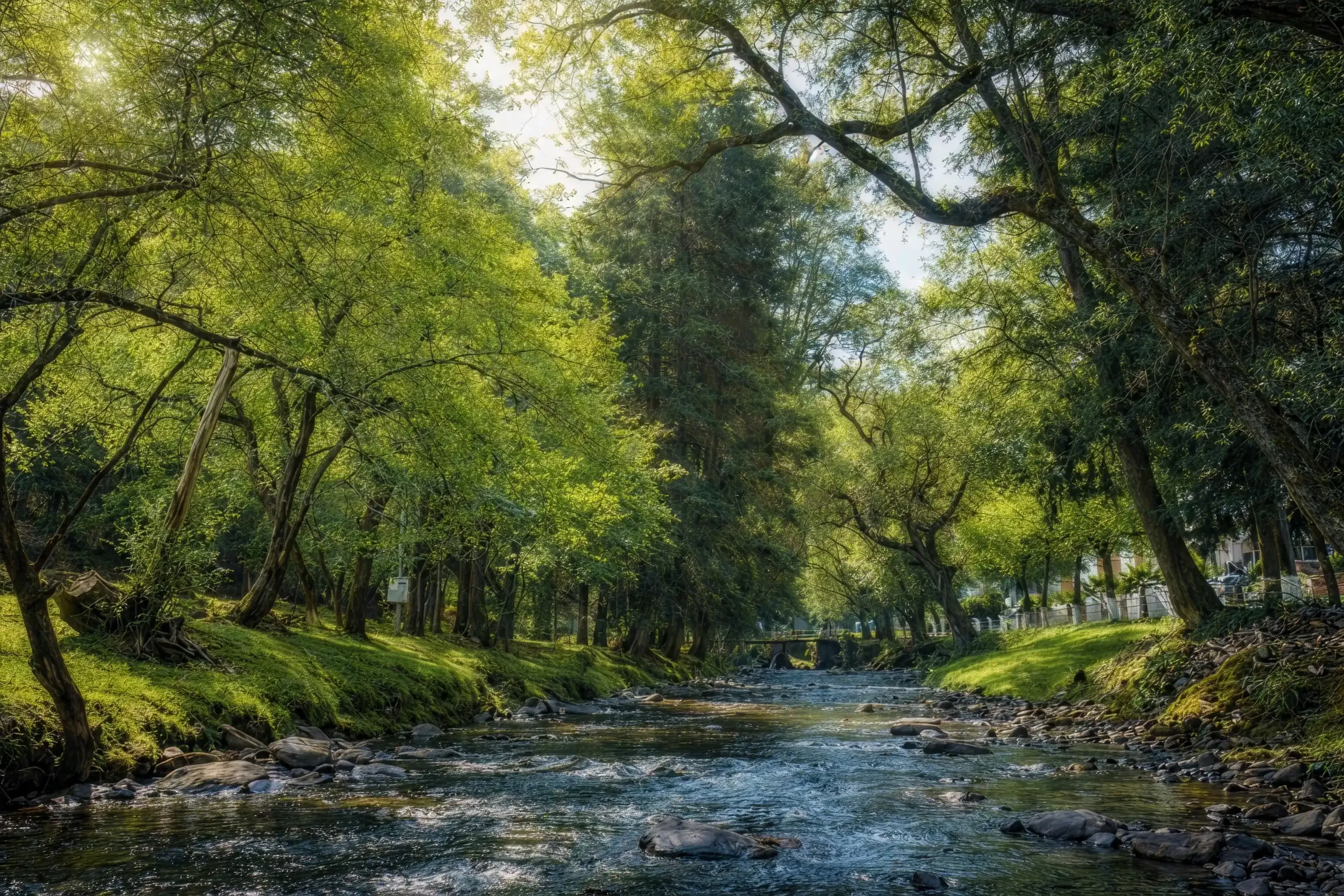 Río y bosque del Parque Ecoturístico Las Cascadas en Villa del Carbón