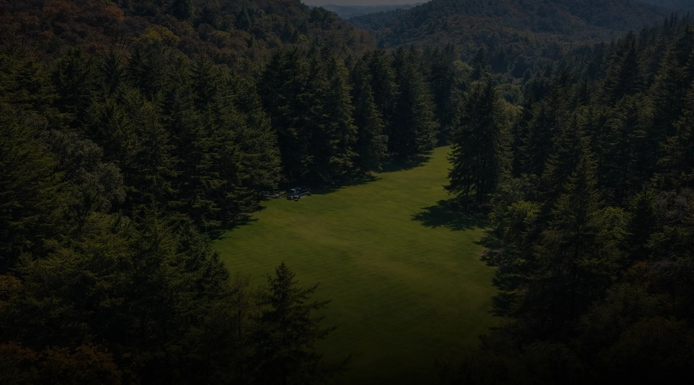 Vista aérea del bosque en el Parque Ecoturístico Las Cascadas