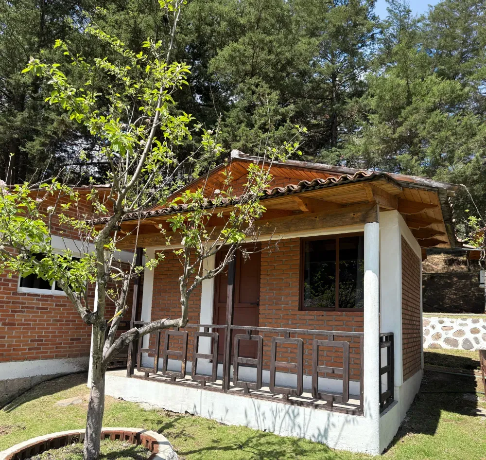 Exterior de una cabaña rústica rodeada de árboles en Las Cascadas