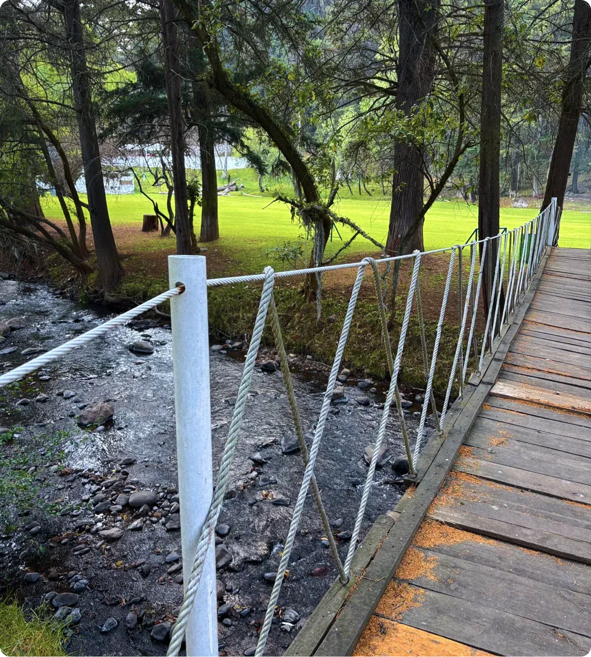 Puente colgante sobre el río en el bosque de Las Cascadas